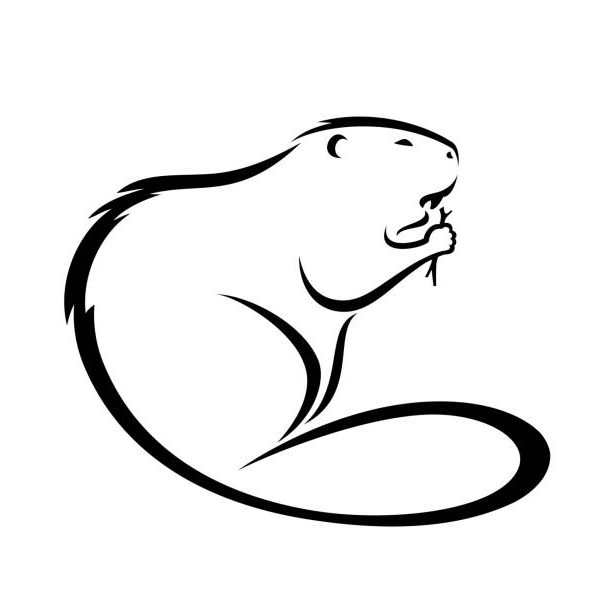 Treecare and Earthworks